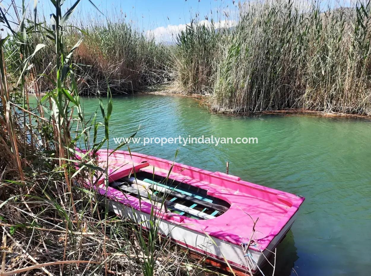 Mugla Dalyan Granatapfelgarten Geeignet Für Null Investition In Den Kanal Zu Verkaufen