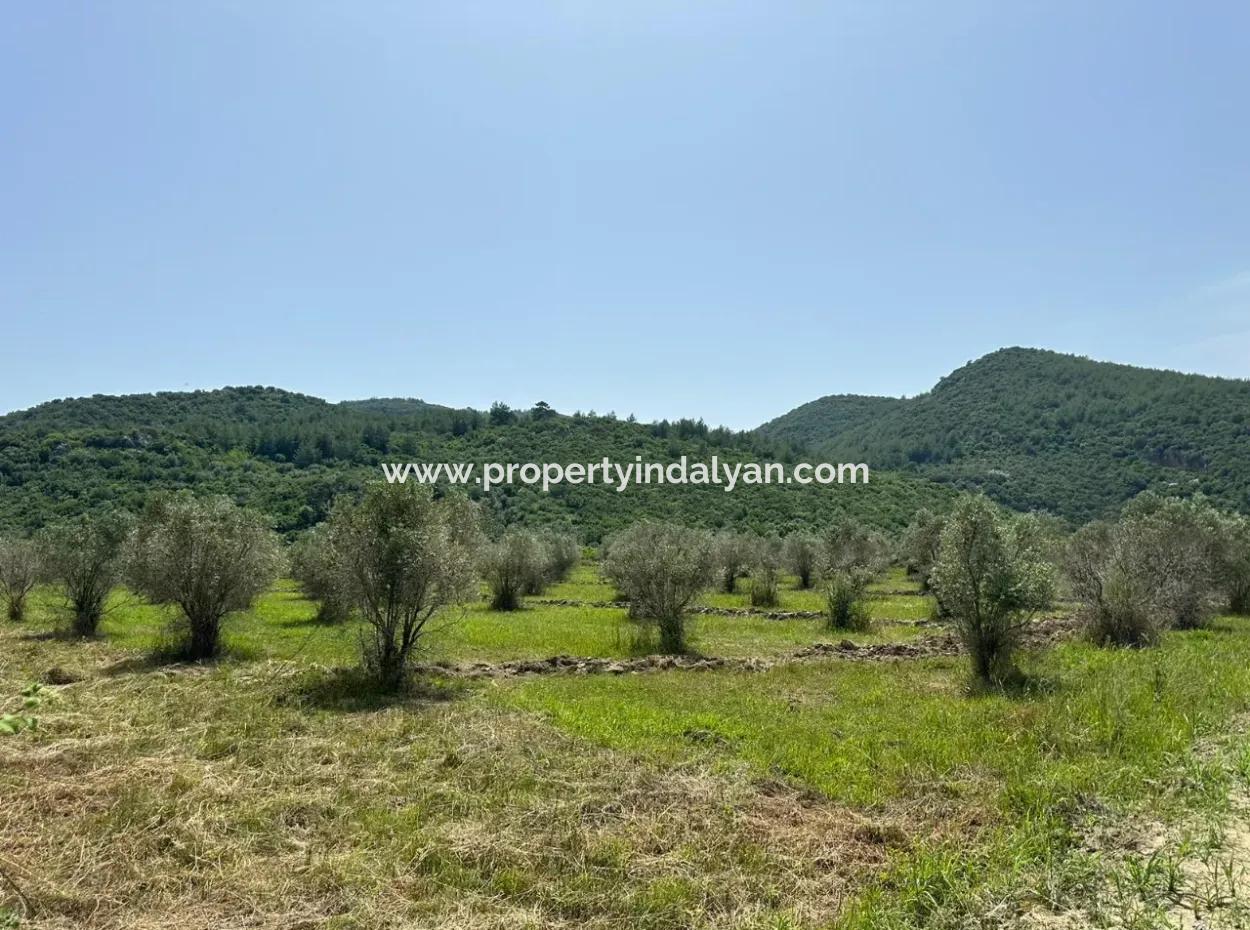 1644 M2, 250 M2 Baugenehmigung Grundstück Zum Verkauf In Ortaca Fevziye