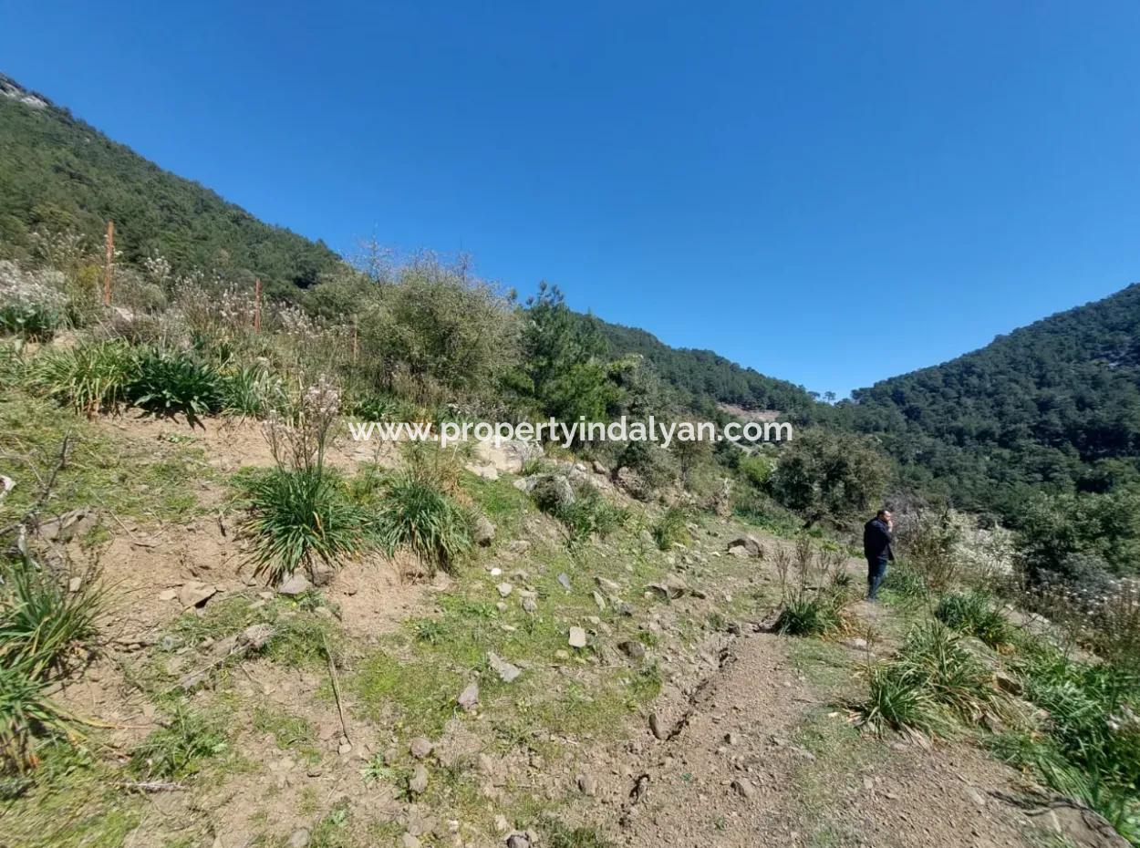 Ortaca Gökbelde Freistehendes 12 132M2 Schnäppchengrundstück In Der Natur Zum Verkauf