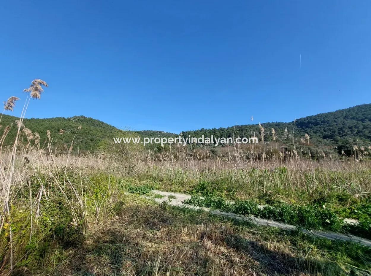 Fruchtbares 6.350 M2 Land Zum Verkauf In Muğla Ortaca Güzelyurt