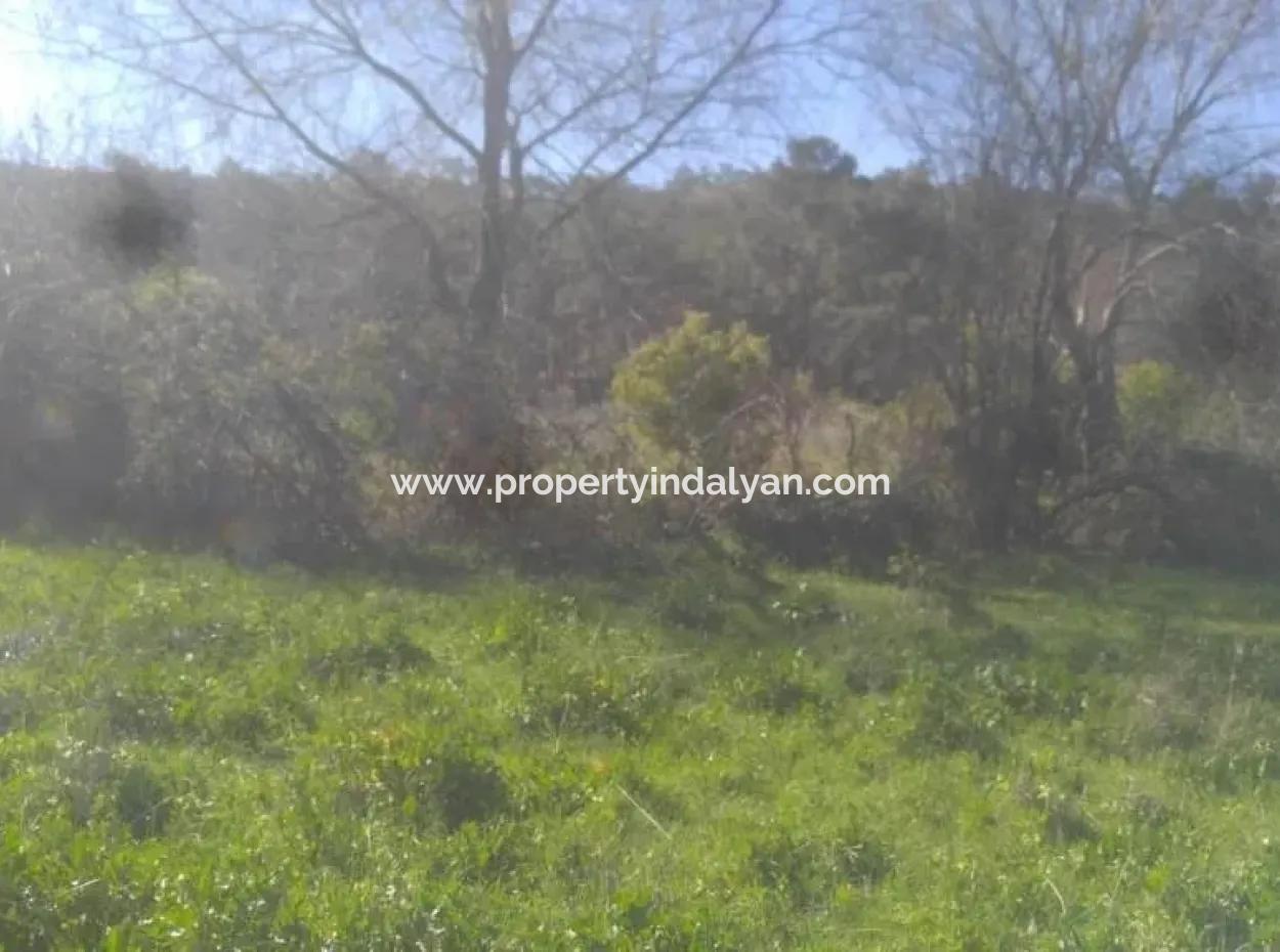 Land Zum Verkauf In Bargain Detached Zeytinalani