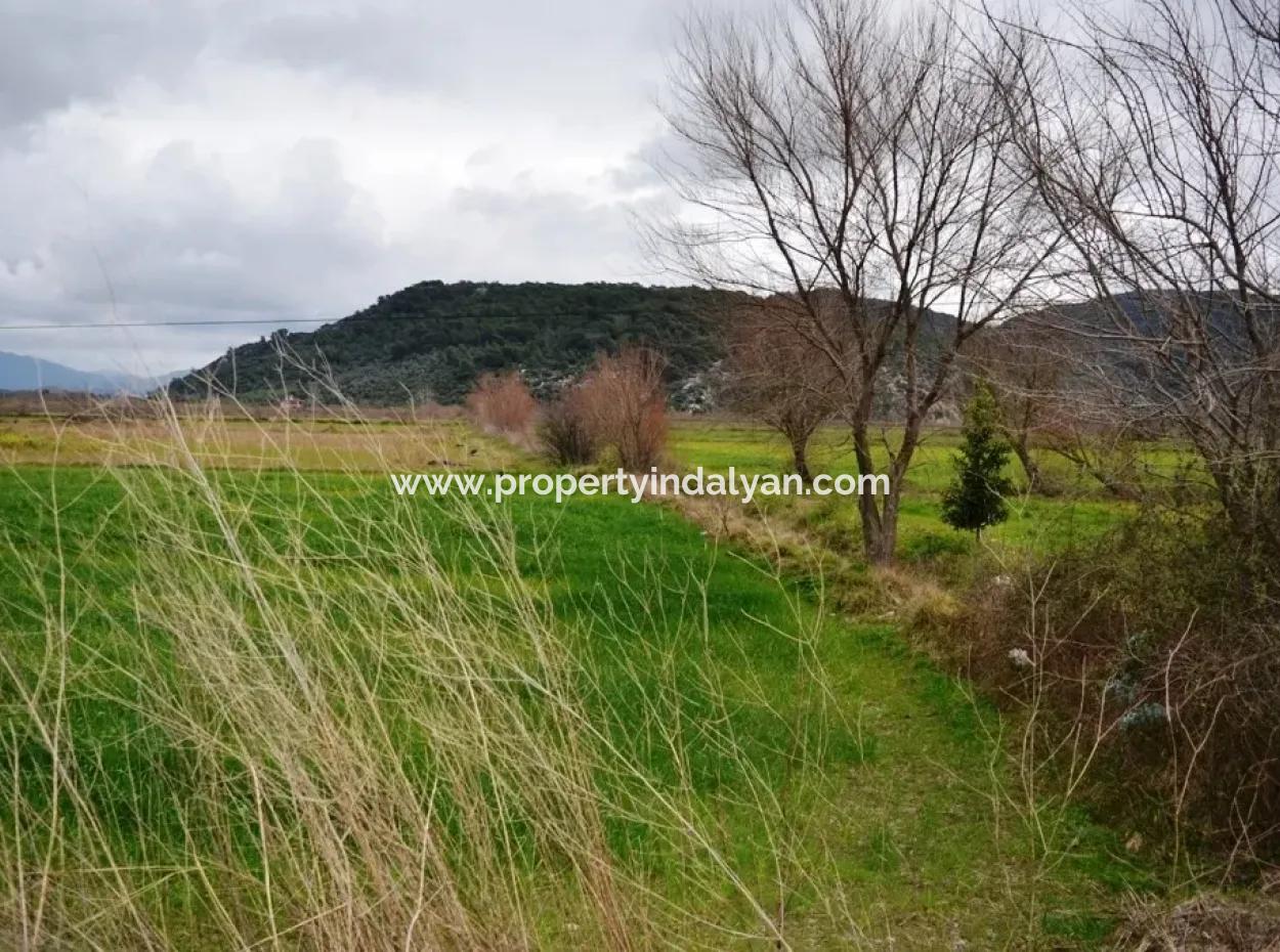 Land Zum Verkauf In Sarigerme, Oriya Güzelyurt Auf Dem Weg Zur Null