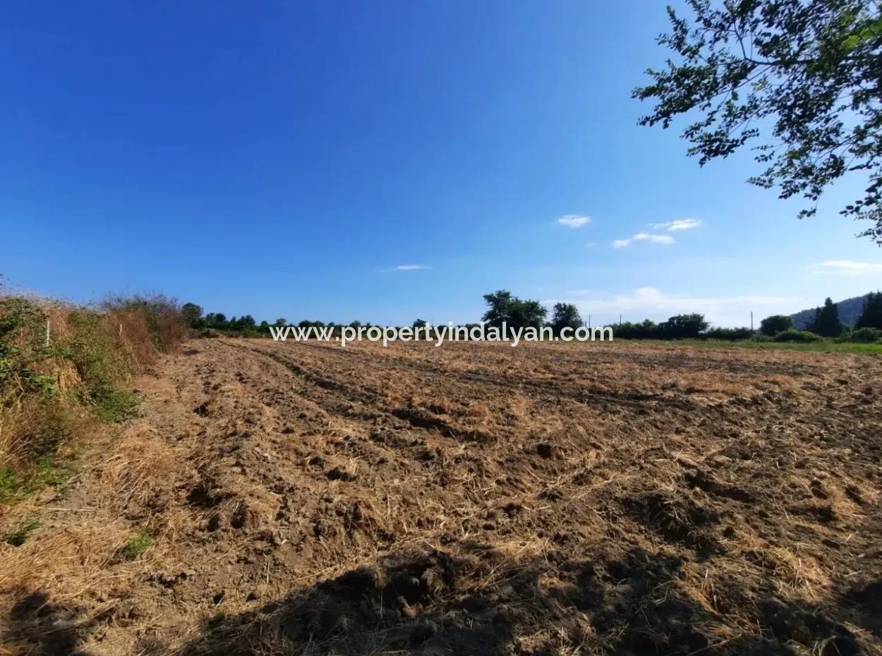 Oriya Fevziye Land Zum Verkauf In Null-Straße