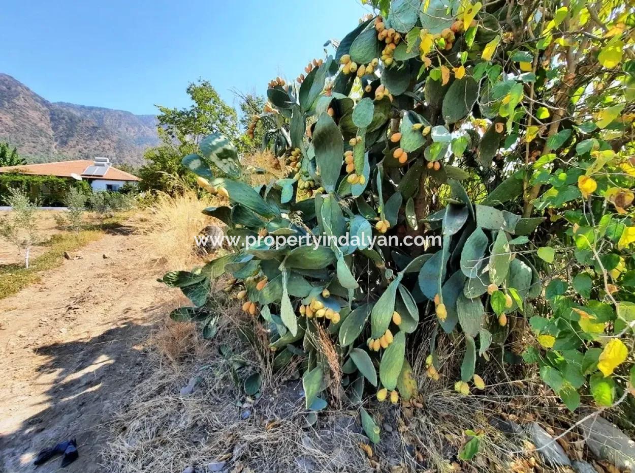 Zoning Land Zu Verkaufen In Köycegiz Topars