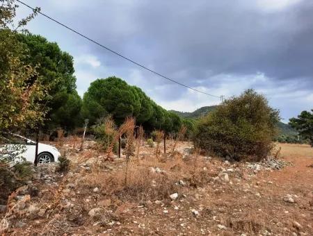 Freistehendes Land Mit Seeblick Zum Verkauf In Köycee'iz Zeytin Bereich