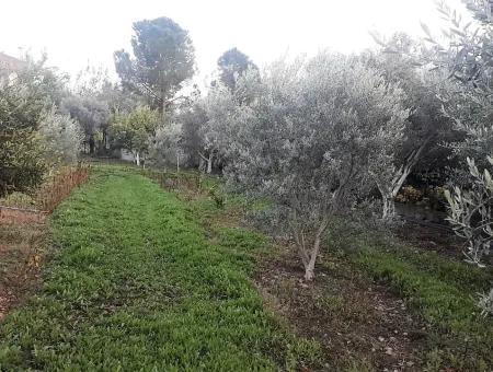 Zoning Grundstücke Mit Seeblick Zum Verkauf In Köycegiz Toparlar