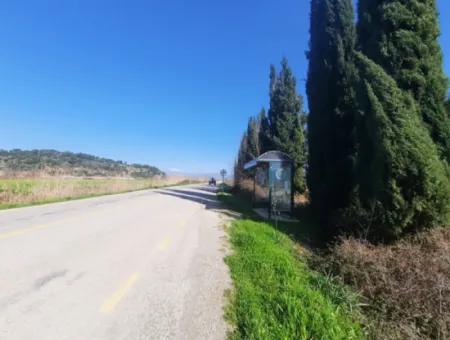 Mugla Ortaca Güzelyurt Sarégerme Straße Mit Blick Auf 2256 M2 Feld Zu Verkaufen