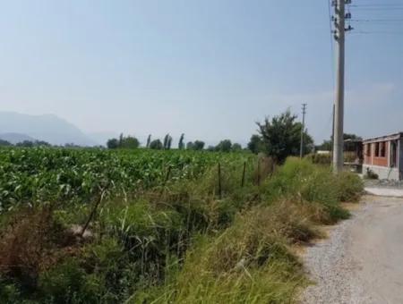 Freistehende 15000 M2 Fruchtbares Land Zum Verkauf In Mugla Ortaca Bogenschützen