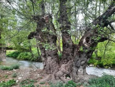 80 M2 Eigentumsurkunde Haus Zum Verkauf Auf 450 M2 Land In Çameli Kirazlıyaylada Schnäppchen