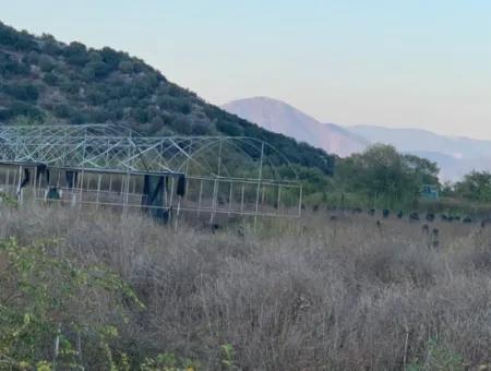 26.200 M2 Freistehendes Feld Und 3.000 M2 200 Avocados Zum Verkauf In Ortaca Güzelyurt