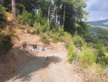 Köyceğiz Ağla Plateau 550M2 Projektbereites, Zoniertes Schnäppchenland Zum Verkauf