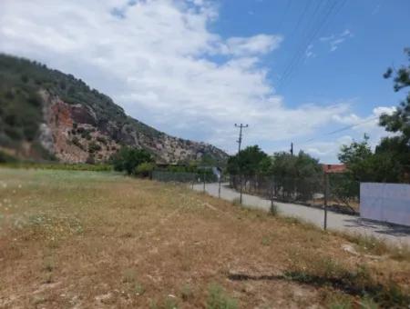 Köyceğiz Çandırda Freistehende Eigentumsurkunde 33.800 M2 Feld Zum Verkauf