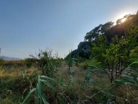 Einstöckiges Haus Zum Verkauf Auf 15 000M2 Freistehendem Grundstück In Der Nähe Des Dalyan-Kanals In Köyceğiz Çandırda