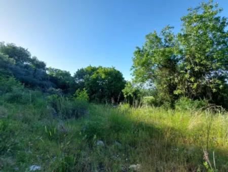 1.000M2 Freistehendes Grundstück Mit Blick Auf Den Köyceğiz-See Zum Verkauf In Dalyan