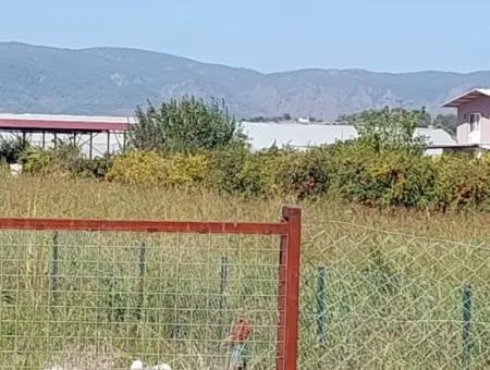 Grundstück Und 2 In 1 Containerhaus Zum Verkauf An Der Dalyan Eskiköy Farm Road