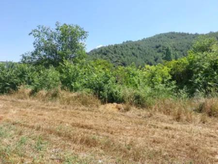 550M2 Geteiltes Grundstück Zum Verkauf Im Bebauten Gebiet Des Dorfes In Ortaca Kemaliye