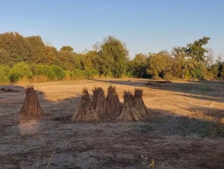 3 700 M2 Grundstück Zum Verkauf An Der Hauptstraße In Muğla Ortaca Kemaliye