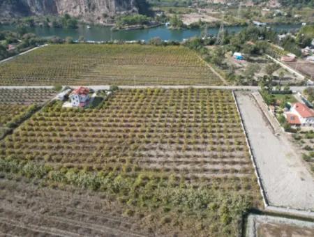 Muğla Dalyanda Kanal 2. Parzelle Freistehend 5.000 M2, 250 M2 Grundstück Mit Baurecht Zu Verkaufen