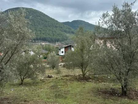 Zu Verkaufen In Fethiye Gökçeovacıkta 1709 M2