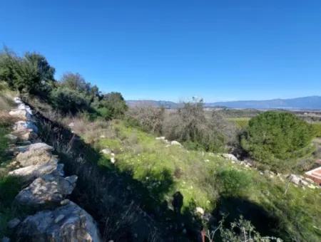 1.000M2 Freistehendes Grundstück Mit Blick Auf Den Köyceğiz-See Zum Verkauf In Dalyan