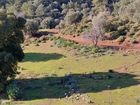 28.350 M2 Grundstück Zum Verkauf In Ortaca Gökbelde Mit Freistehender Eigentumsurkunde Mit Meerblick