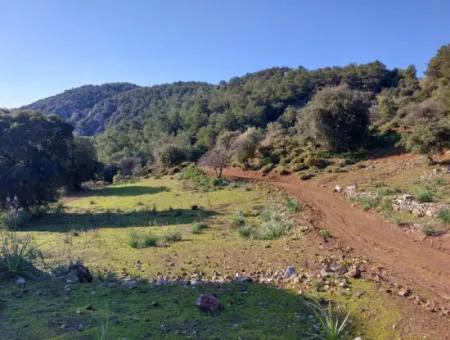 28.350 M2 Grundstück Zum Verkauf In Ortaca Gökbelde Mit Freistehender Eigentumsurkunde Mit Meerblick