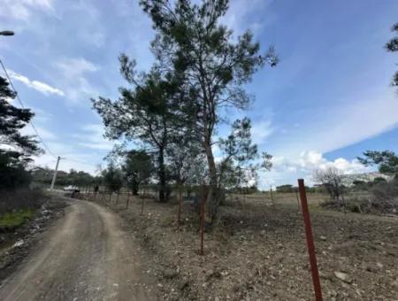 1084 M2 Eckgrundstück Zum Verkauf In Dalyan Gökbelde