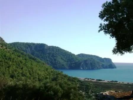 Mugla Dalaman Incebel Land Mit See- Und Seeblick Zum Verkauf