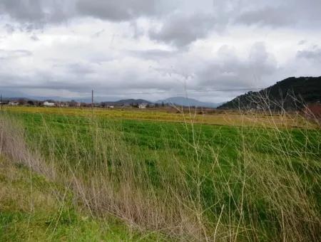 Land Zum Verkauf In Sarigerme, Oriya Güzelyurt Auf Dem Weg Zur Null