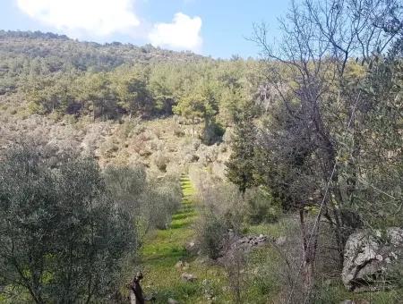 Land Zum Verkauf In Dalaman Ehre Kircagedire