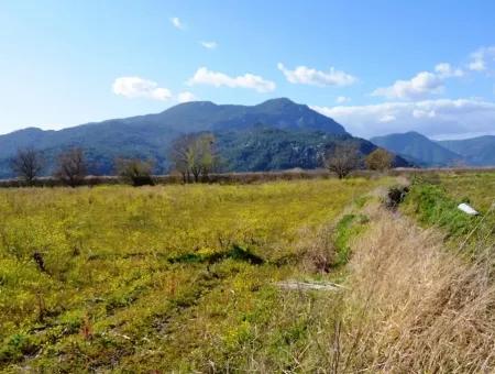 Bauernhof Zum Verkauf Schnäppchen In Dalyan