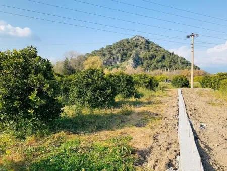 830 M2 Grundstück Zum Verkauf Schnäppchen In Dalyan