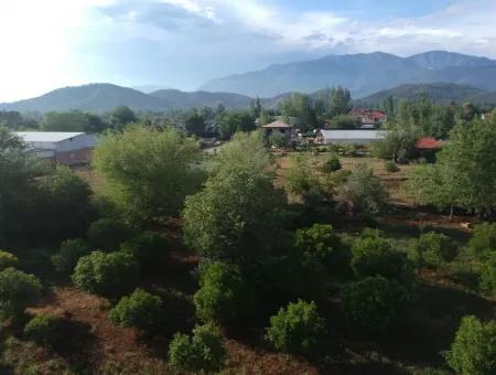 Land Zum Verkauf In Koycegiz, Grundstück Beyoba