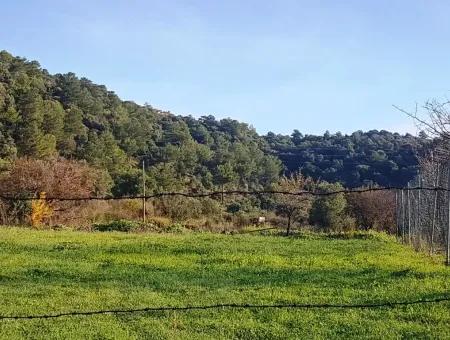 620 M2 Land Zum Verkauf In Sarigerme