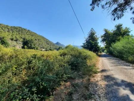 Weinberg Garten Zoning Land Zu Verkaufen In Gocek Inlice