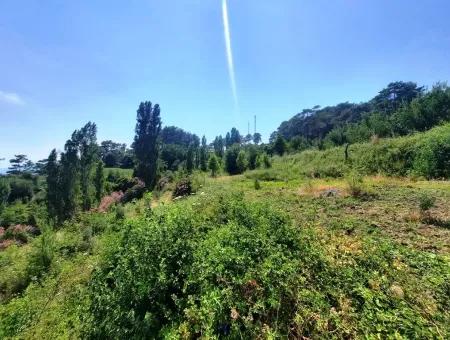 Köycegiz Yayla, Agla Dorf Zum Verkauf Freistehendes Land Geeignet Für Investitionen Mit Seeblick