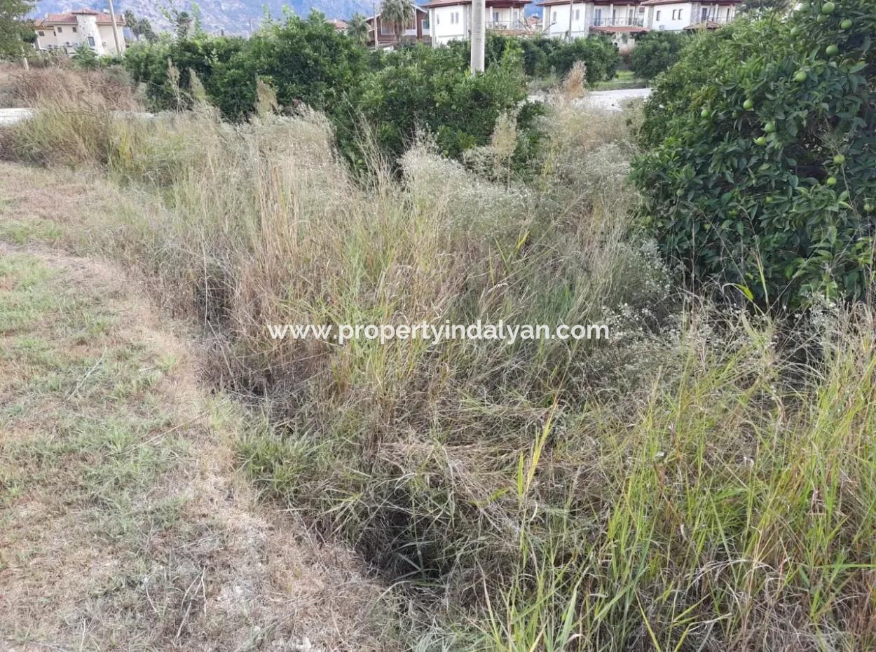 Mugla Dalyan Bargain Zoning Land For Sale