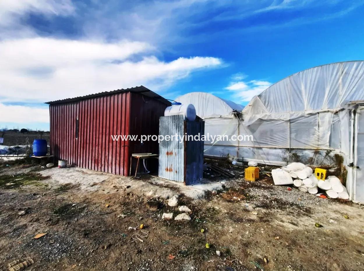 Denizli Çameli Yumrutaş Detached 4 000 M2 Greenhouse For Sale