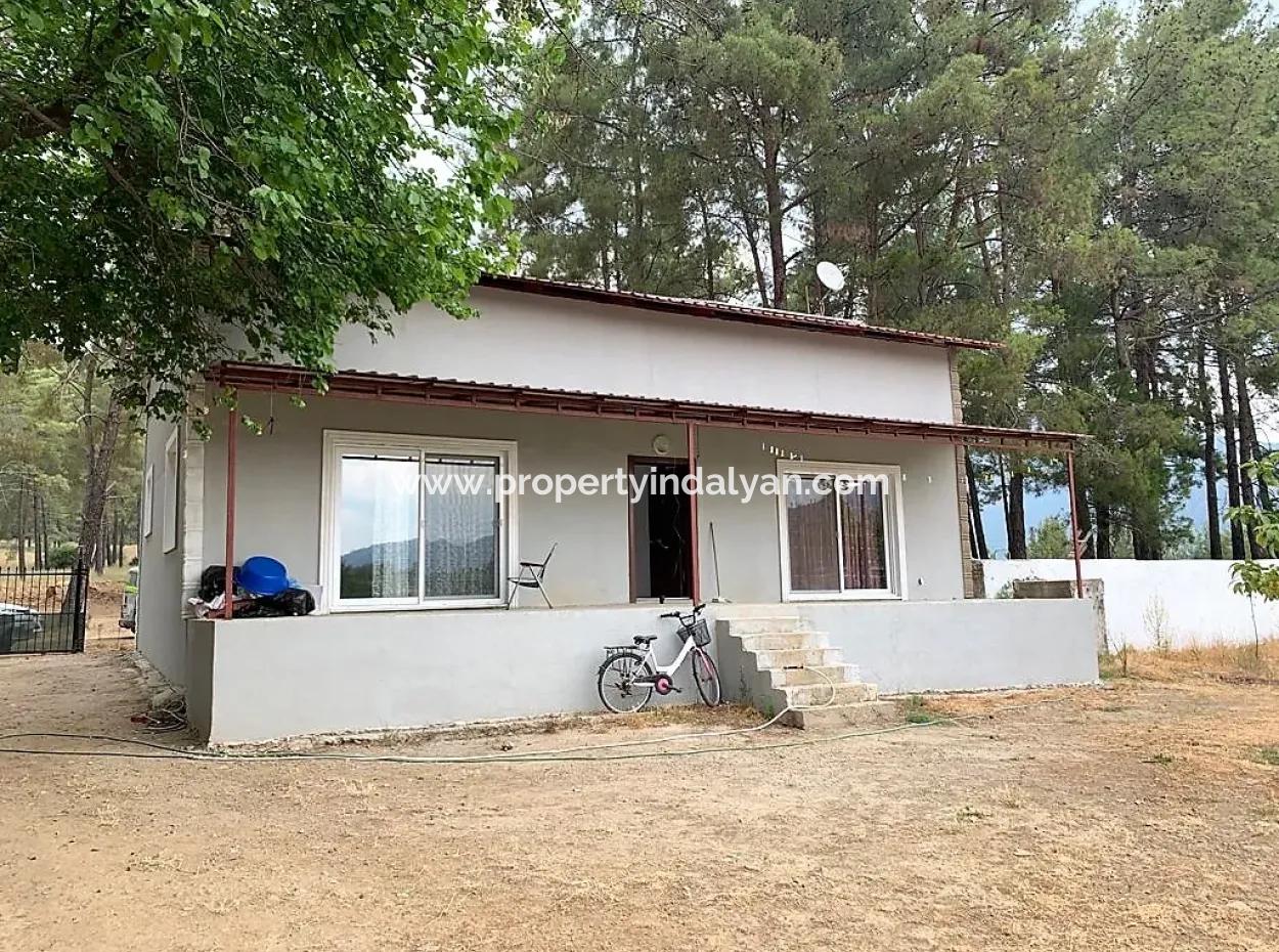 Tea Edge 10345 M2 Land And Detached House For Sale In Ortaca Çaylı Pine Forest