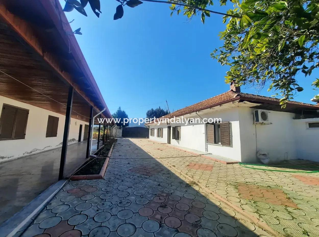 2 Detached Houses For Sale In 5179 M2 Garden In Köyceğiz Döğüşbelen