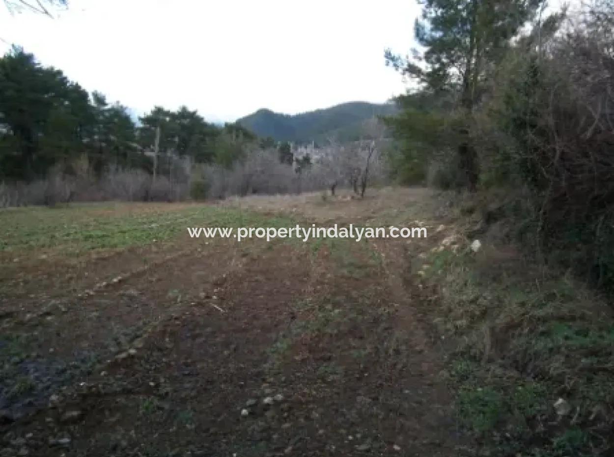 1985 M2 Land And Old Village House For Sale In Fethiye Nif