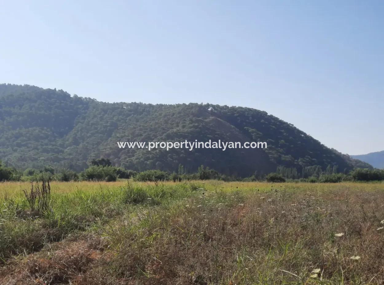 10 000 M2 Land For Sale With House In 2-Storey Rough Construction Between Ortaca Hill And Muğla Ortaca.