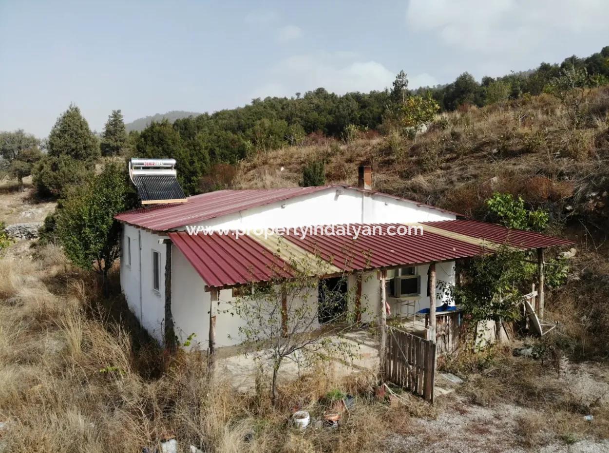 5 000 M2 Land In Çameli Kızılyaka 2 In 1 Detached House, And Barn For Rent