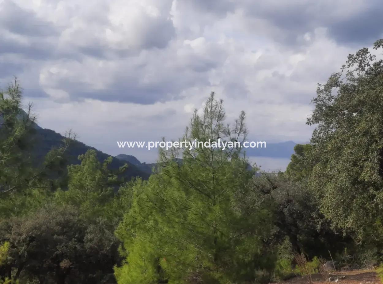 Muğla Dalyan Gökbelde 7 270 M2 Detached Title Deed Sea And Lake View Land For Sale