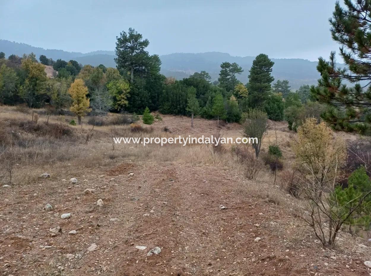 1 900 M2 Detached Bargain Land For Sale In Burdur Gölhisar Yeşildere