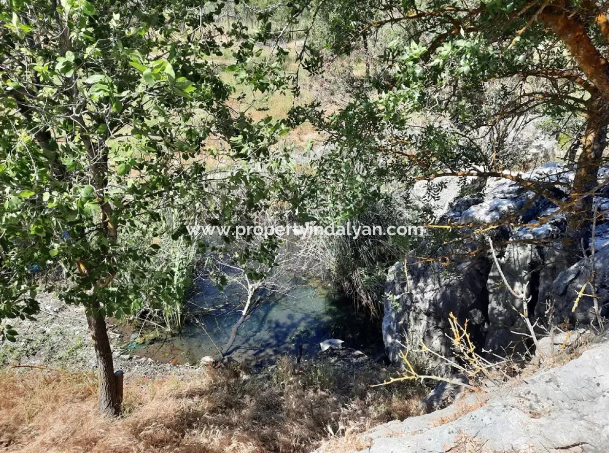 Muğla Ortaca Dalyanda Canal Front 6 500 M2 Land With Title Deed For Sale