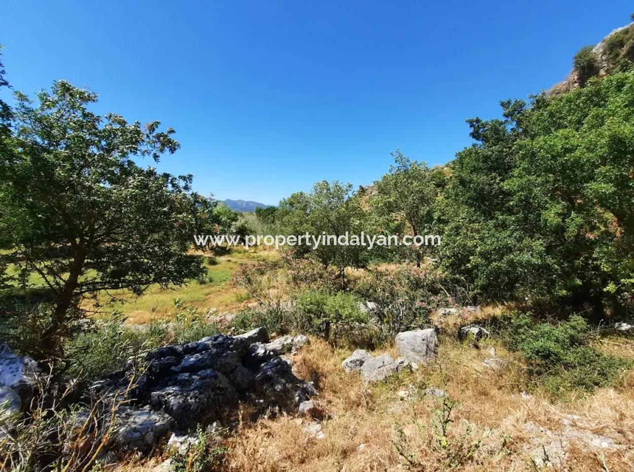 Muğla Ortaca Dalyanda Canal Front 6 500 M2 Land With Title Deed For Sale