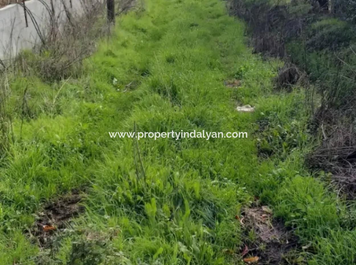 11 450 M2 Field For Sale In Muğla Köyceğiz Köyceğiz Neighborhood