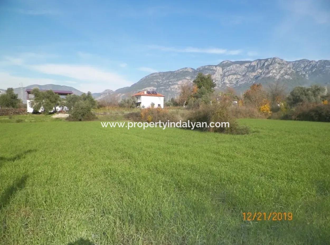 Land For Sale In Bargain Detached Zeytinalani