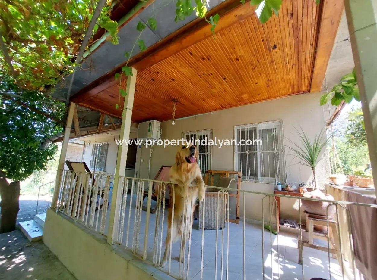 Single-Storey Detached 2 1 Village House For Rent On 4 600 M2 Land In Muğla Ortaca Ekşiliyurt